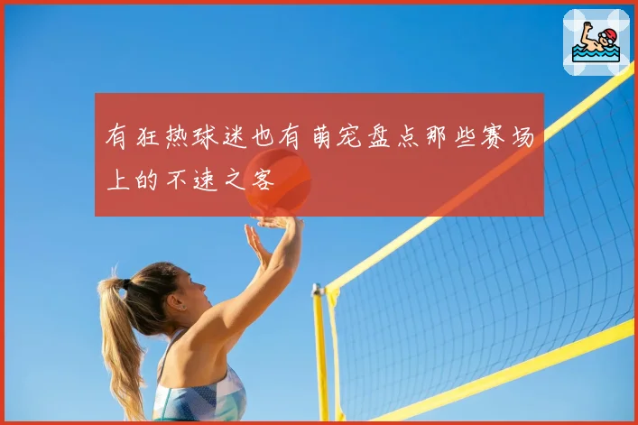 有狂热球迷也有萌宠盘点那些赛场上的不速之客