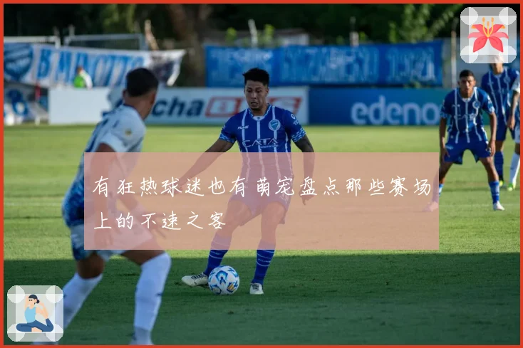 有狂热球迷也有萌宠盘点那些赛场上的不速之客